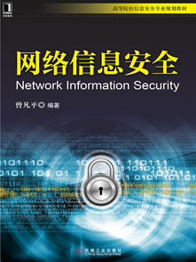 网络信息安全 软件开发与知识获取的全景指南